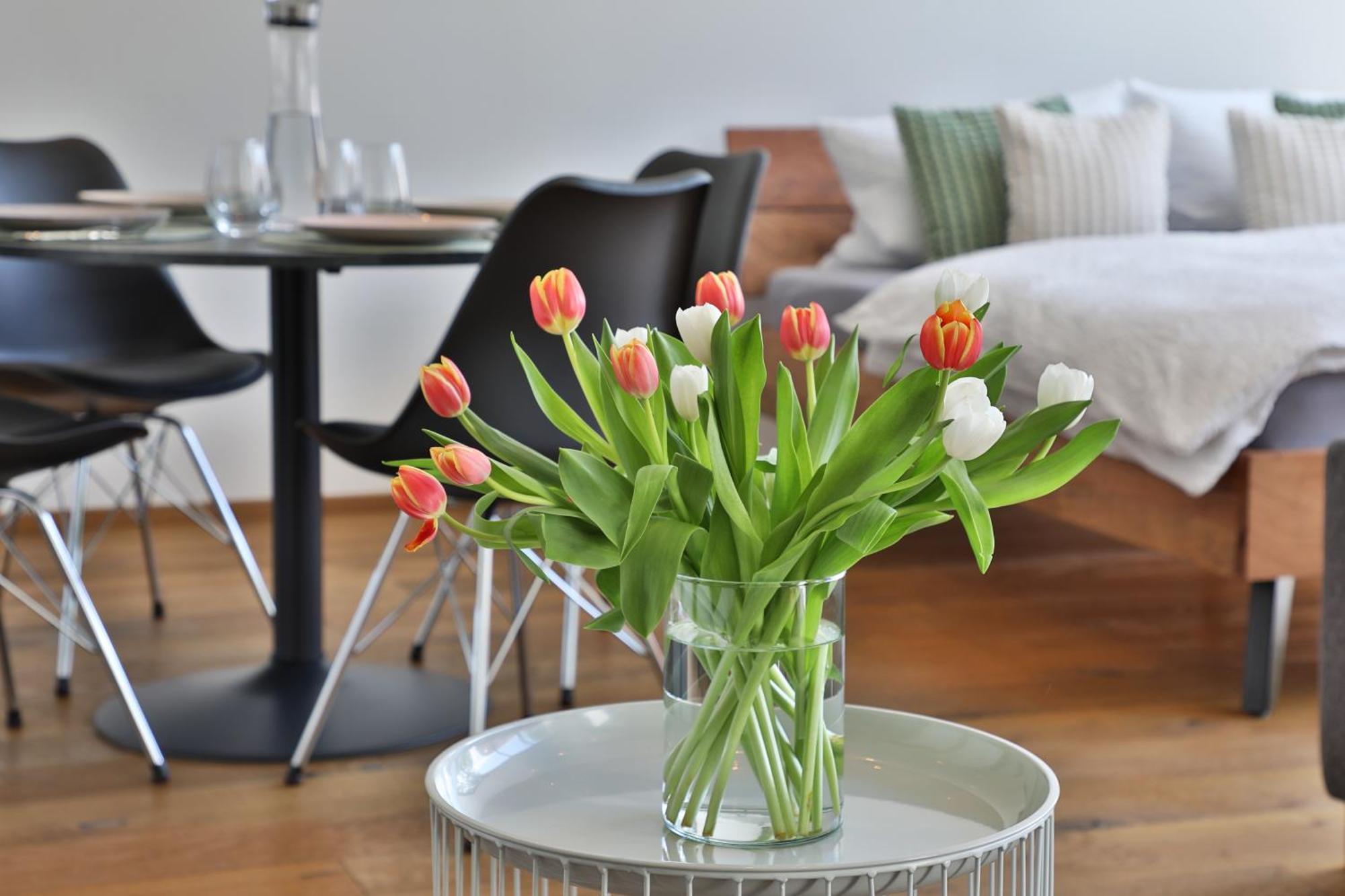 Moderne Studio-Wohnung Gersthofen Εξωτερικό φωτογραφία